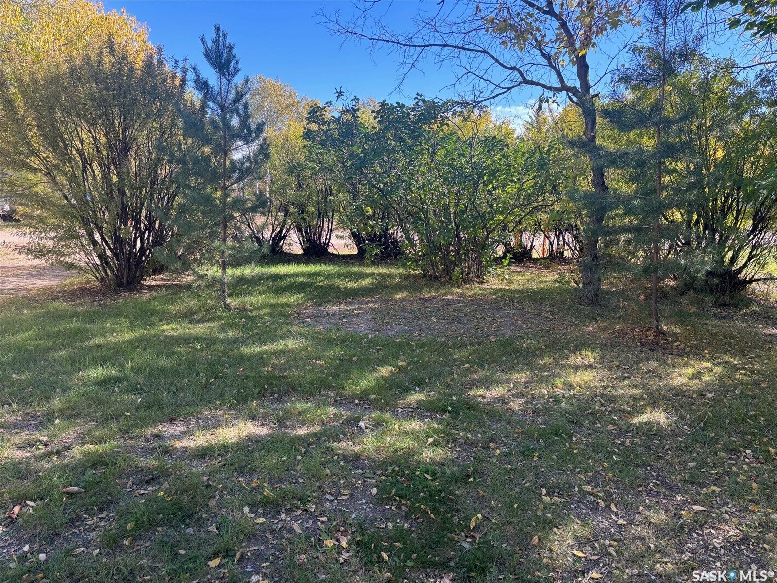 Property Photo:  11 Rose Crescent  SK S7K 1N2 