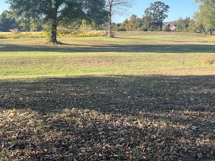 Property Photo: 580 Highway 213 AR 72063