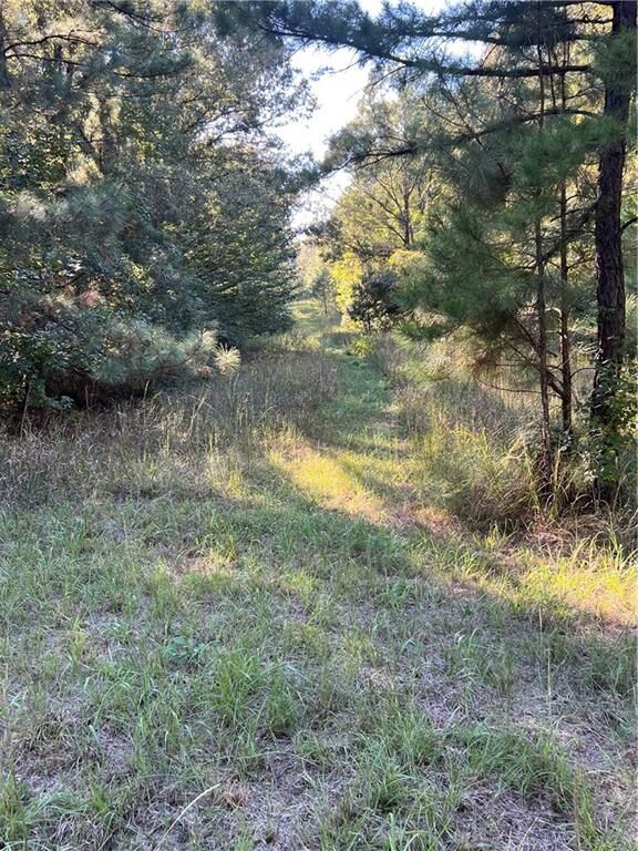 Property Photo:  75-85 Williford Road  LA 71405 