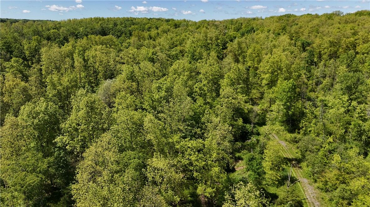 Property Photo: 0 Forest Avenue Extension NY 14701