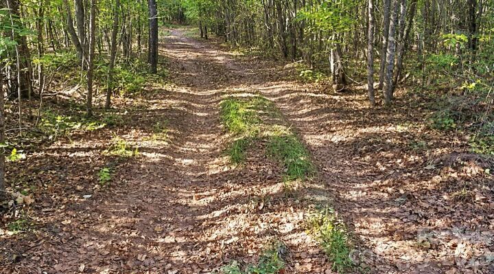 Property Photo: 0000 Legion Road SC 29743