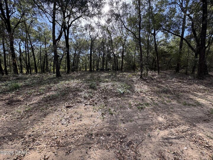 Property Photo: 4560 Moss Hill Road FL 32428
