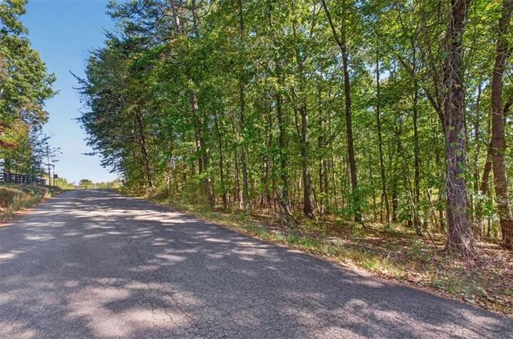 Property Photo:  0 Hendrix Lane  GA 30107 