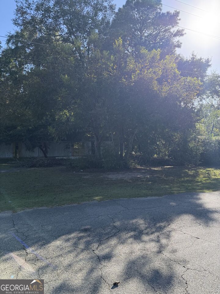 Property Photo:  111 Little Farm Lane  GA 31047 