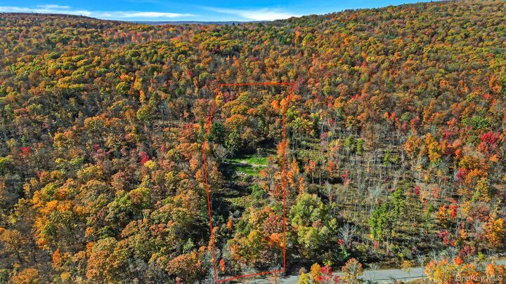 Property Photo:  246 Cox Road  NY 12566 