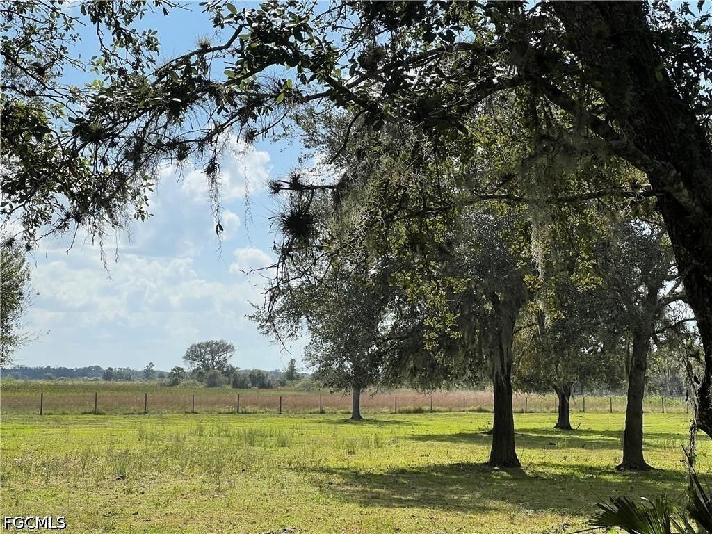Property Photo: 1665 Pollywog Crossover Road FL 33935