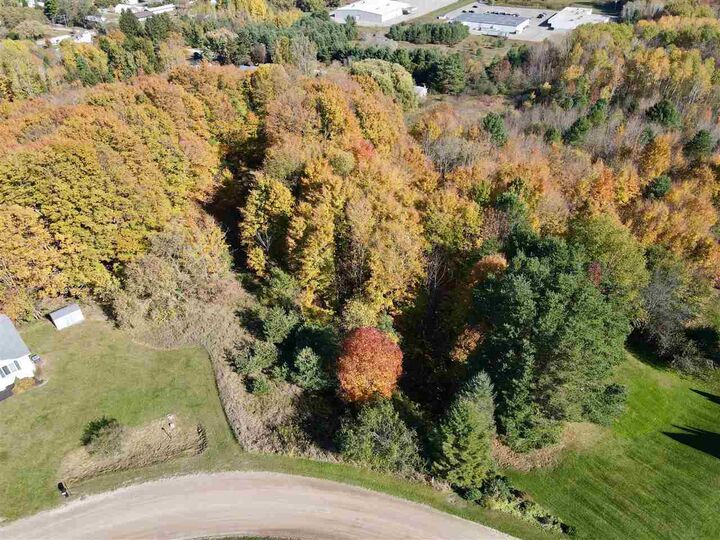Property Photo:  Tbd Homestead  MI 49727 
