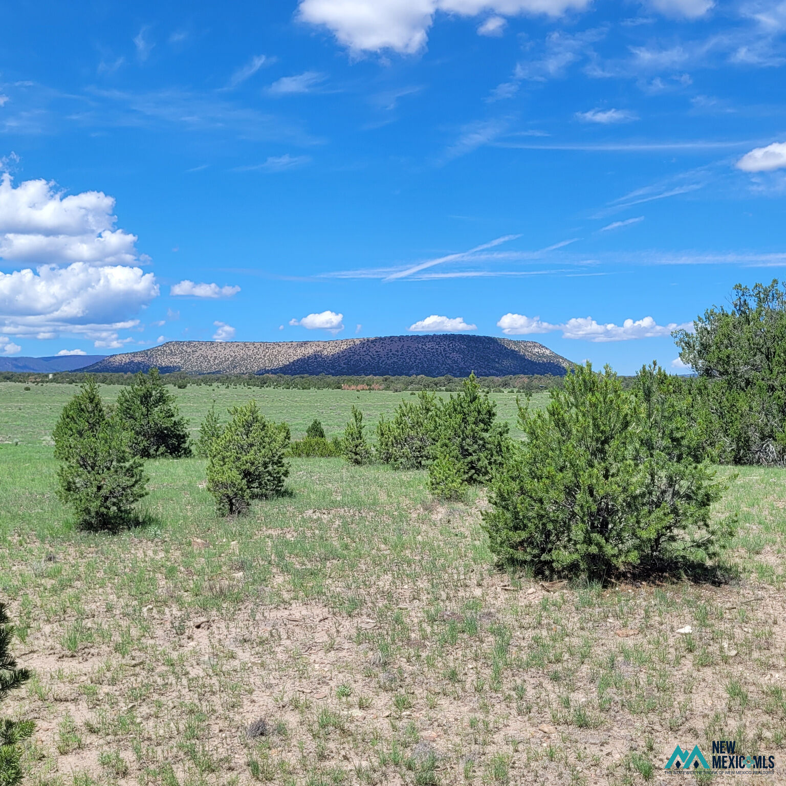 Property Photo: 18 Frontier Trail - Lot 18 Trl 18 NM 87821