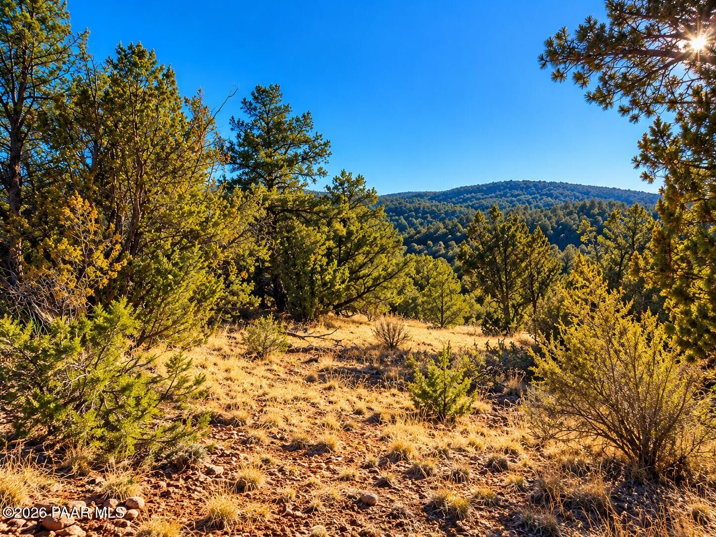 Property Photo: 51804 N Cordero Road AZ 86337