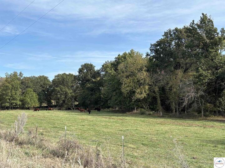 Property Photo:  Tbd Binder  MO 65332 