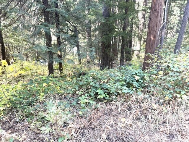 Property Photo:  059-155-080 Hart Ave  CA 96025 
