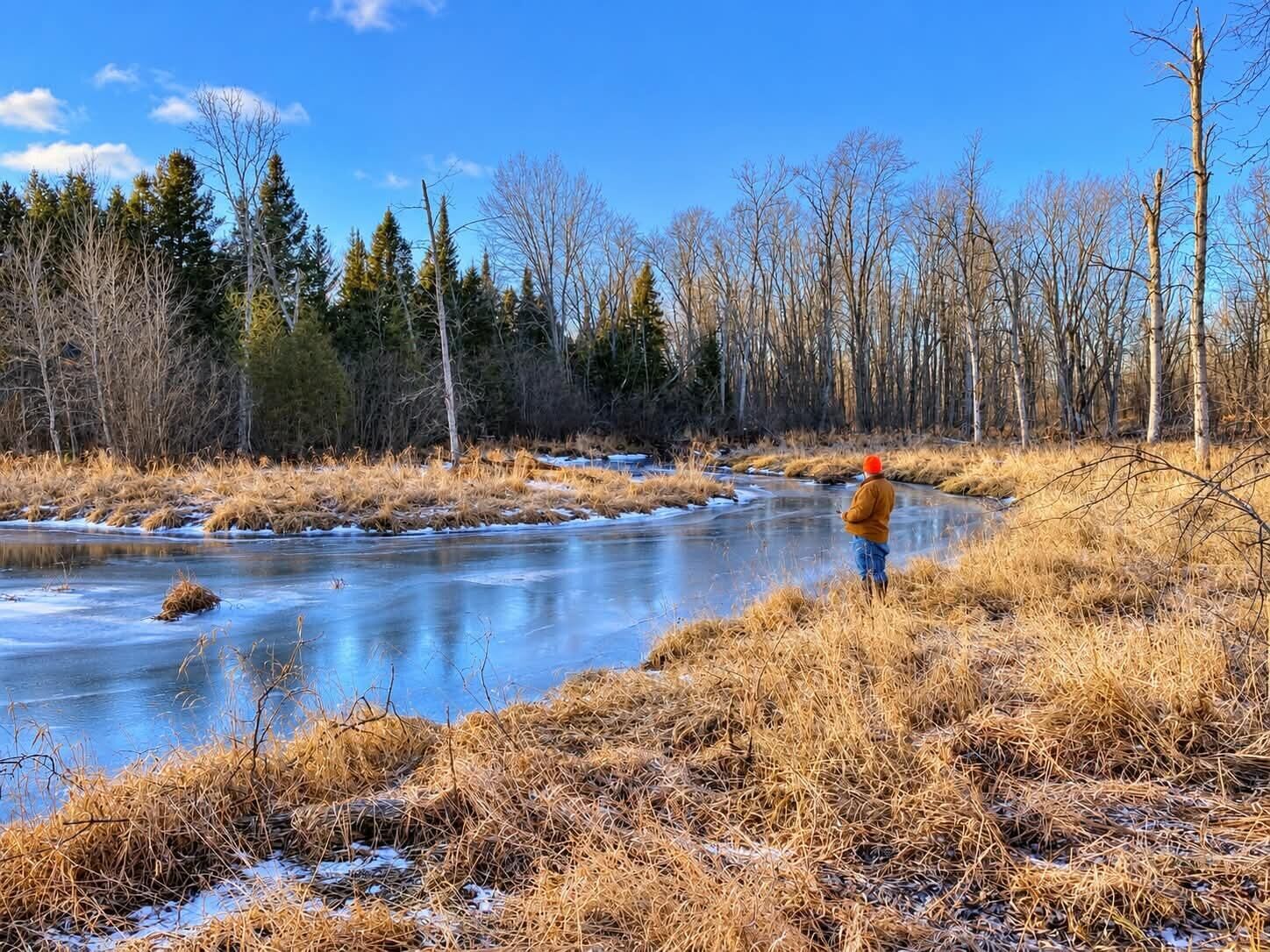 Property Photo: 1984 Bean Creek Road MI 49753
