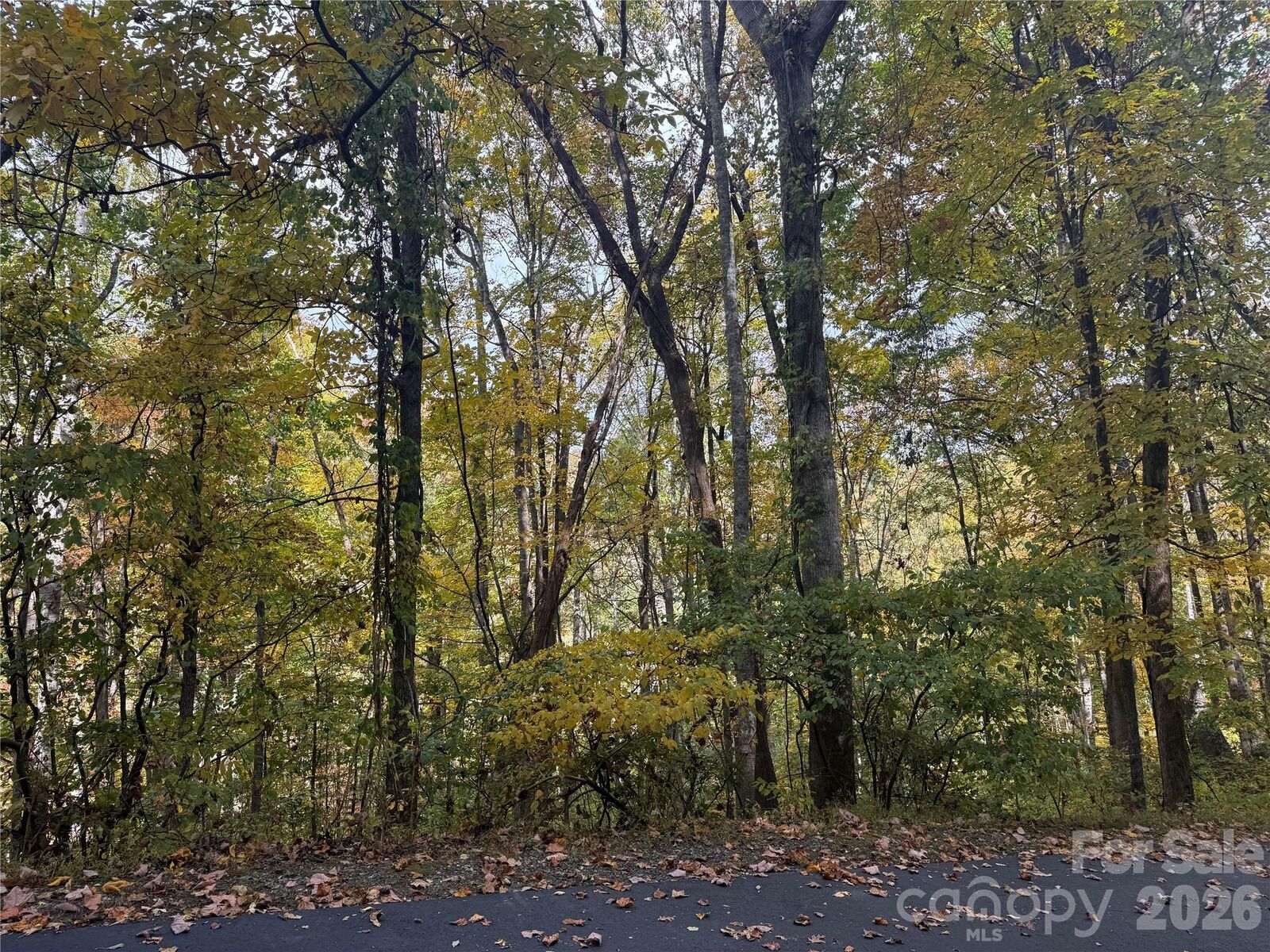 Property Photo:  999 Whispering Woods Path  NC 28754 