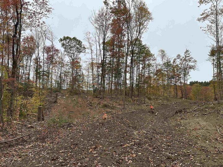 Property Photo:  00 Wild Meadow Road  NH 03240 