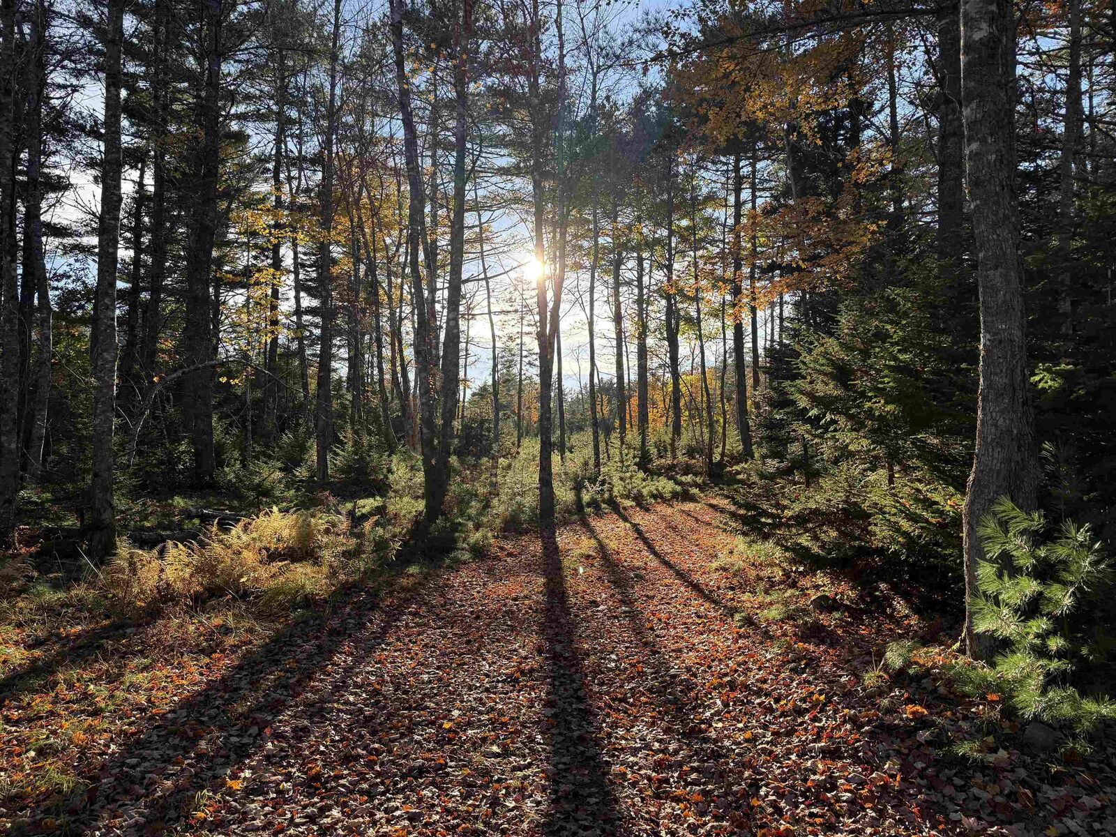 Property Photo:  Lot 3 Sleepy Hollow Road  NS B0J 2E0 