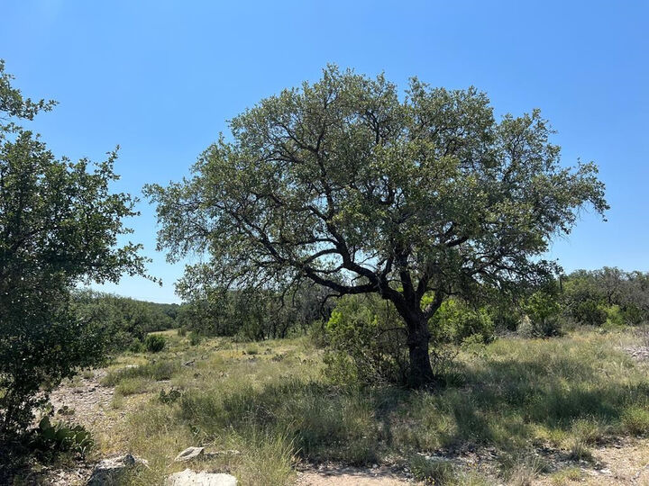 Property Photo: 4120 Majestic Oaks Drive TX 76935