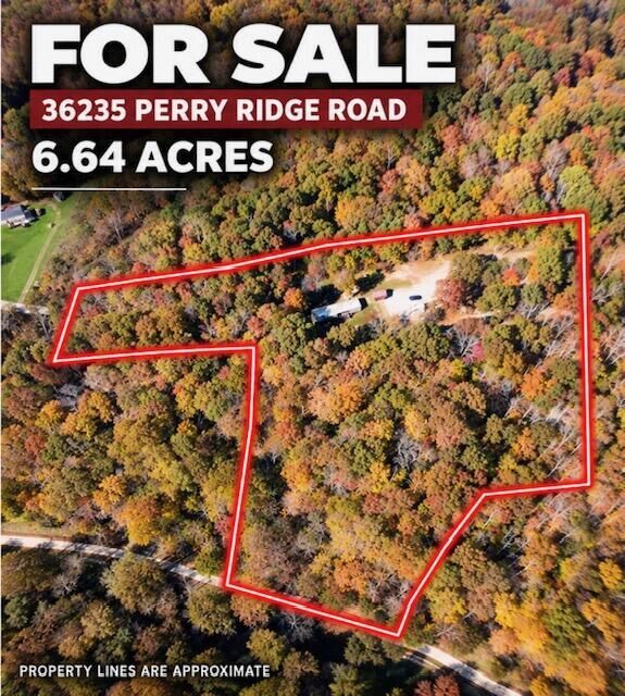 Property Photo:  36235 Perry Ridge Rd  OH 45695 