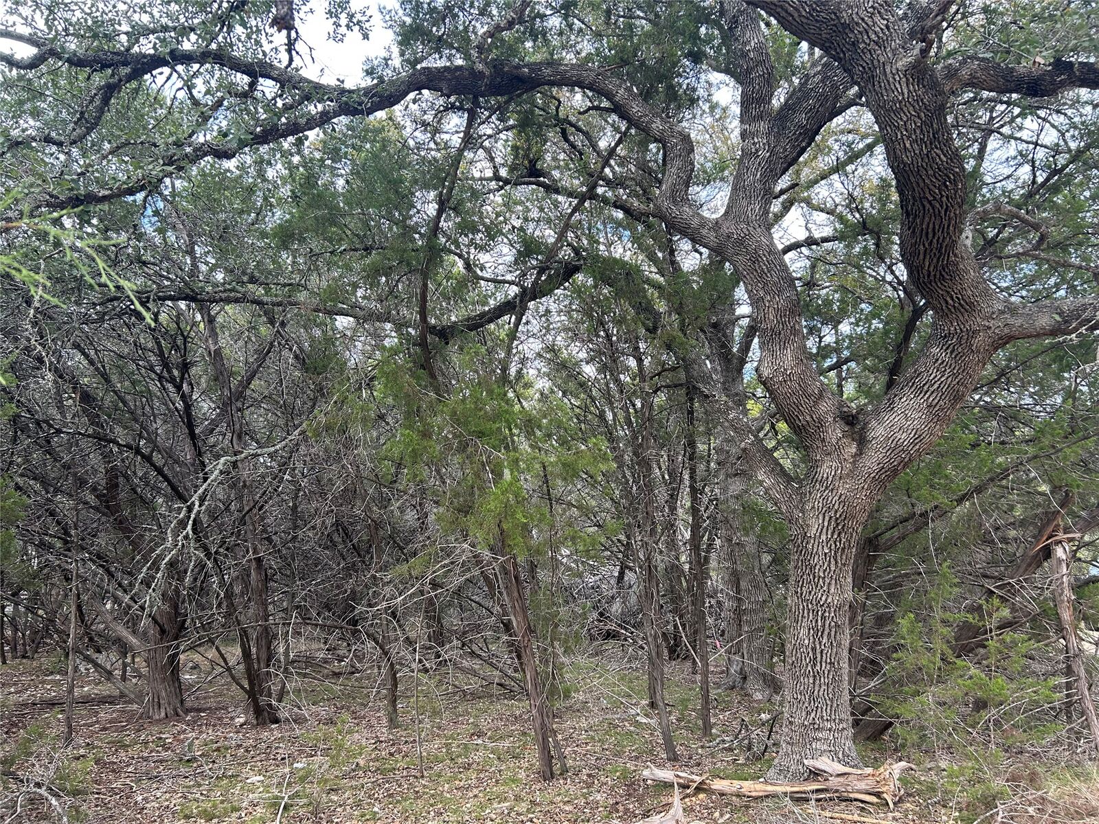 Property Photo:  11 Sunshine Circle  TX 78676 
