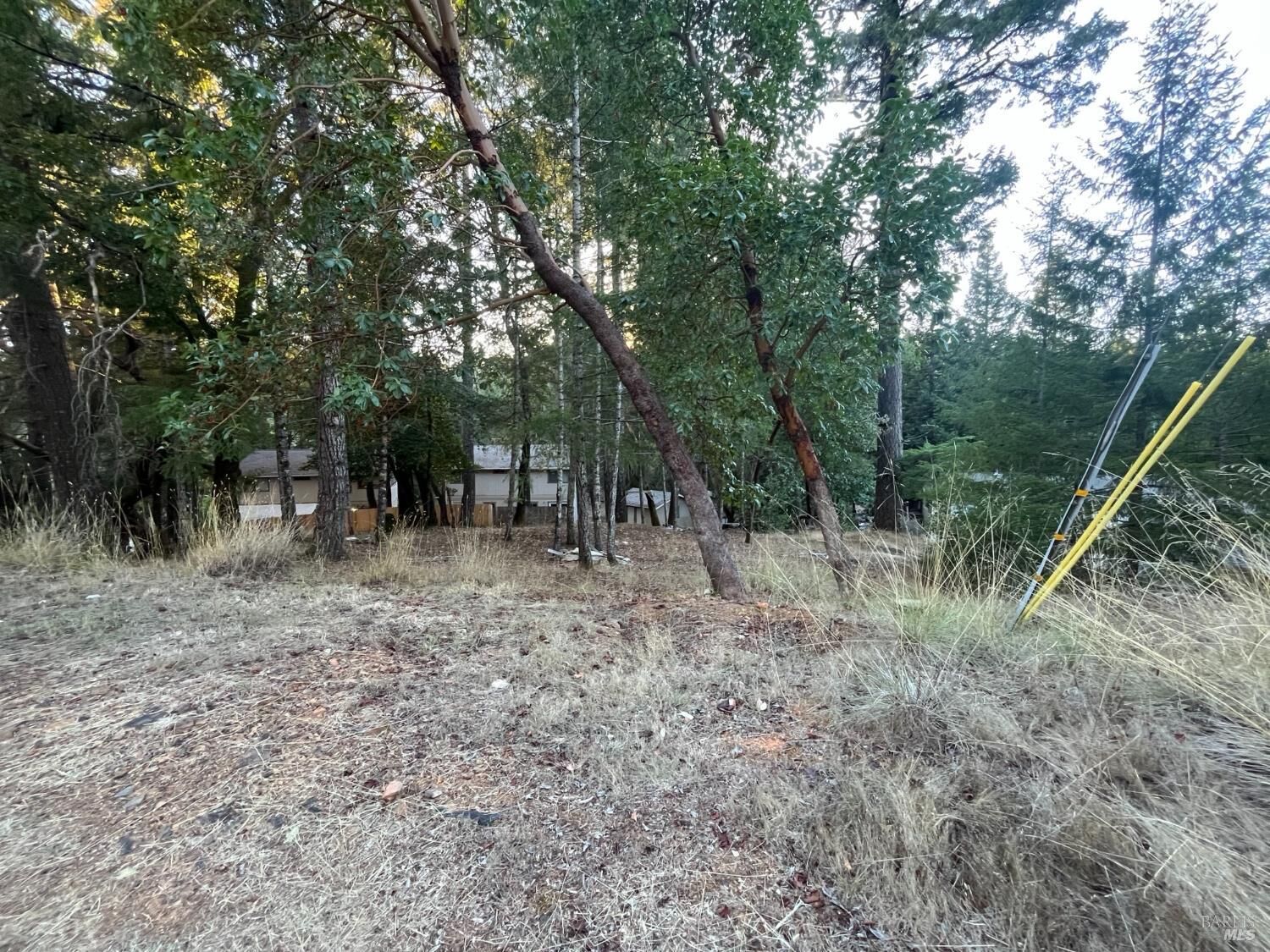 Property Photo: 25350 Madrone Place CA 95490