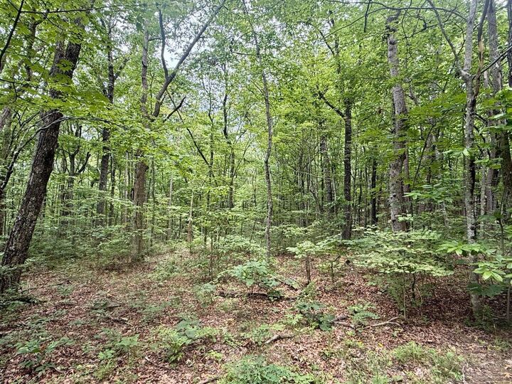 Property Photo: Lot 2 Windridge TN 37327