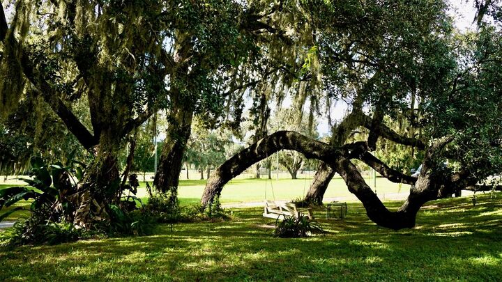 Property Photo: 36178 Gresham Road FL 33597