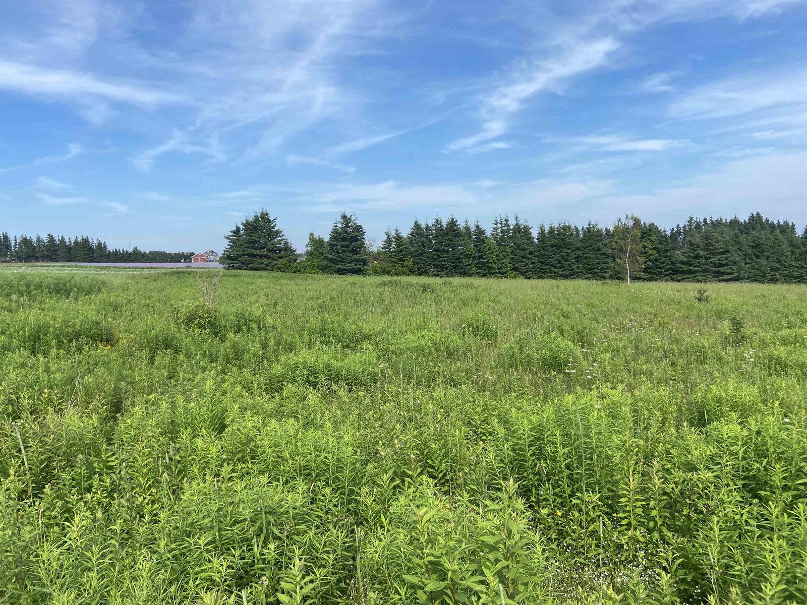 Property Photo:  Lot #3 Cory's Lane  PE C0A 2B0 