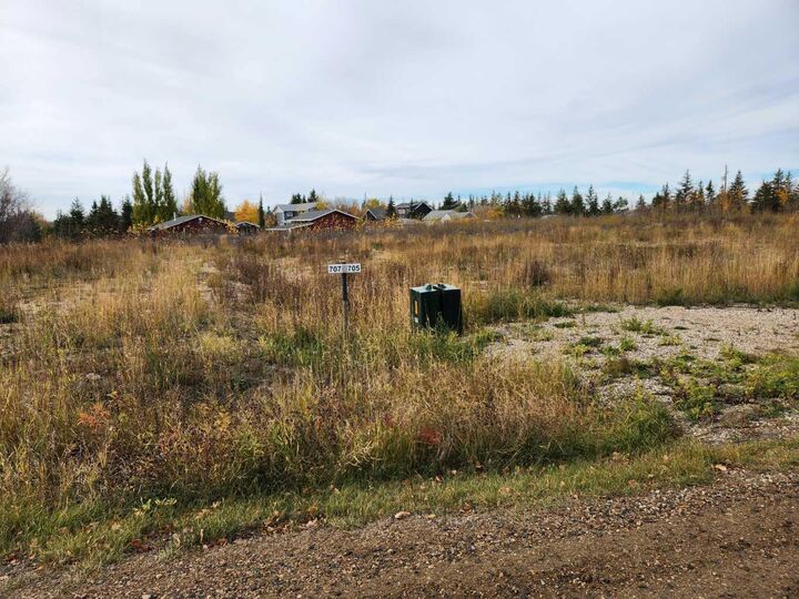 Property Photo:  705 Willow Bay  SK S9V 2T0 