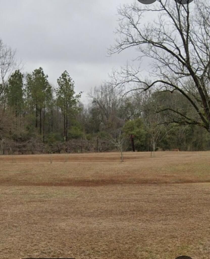 Property Photo:  0 County Road 117  AL 36311 
