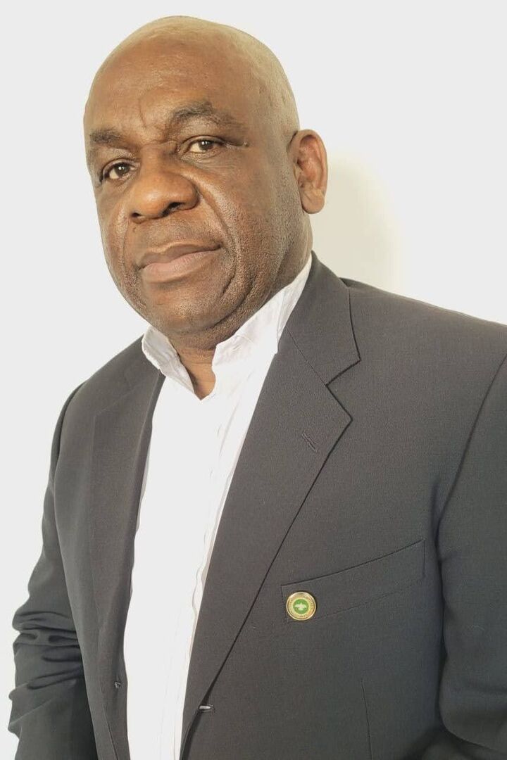 Patrick Nwankwo, Sales Associate in Lansing, Professionals