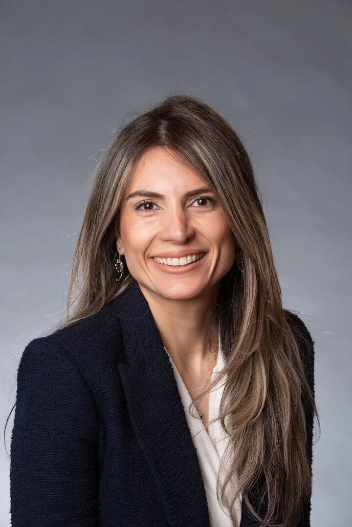 Haleh Najafi, Real Estate Salesperson in Ann Arbor, Professionals