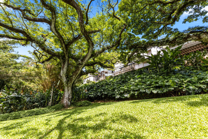 Property Photo: 187 Dowsett Avenue HI 96817