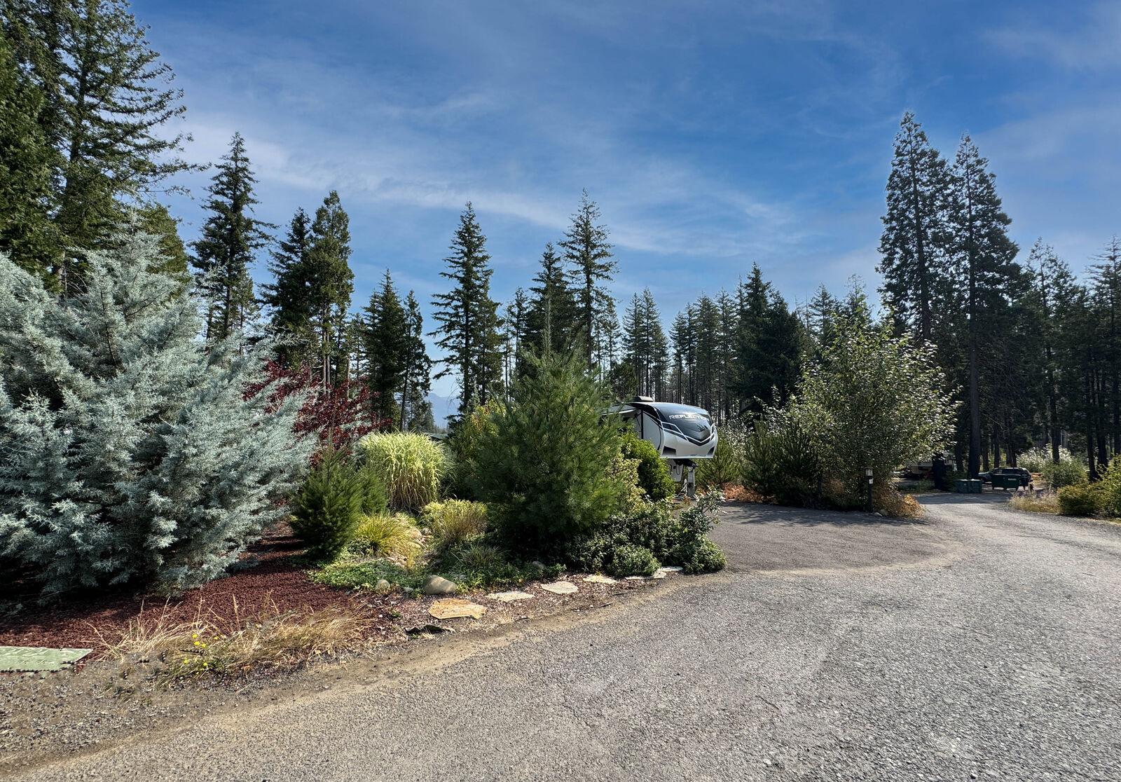 Property Photo: 54432 McKenzie Hwy 38 OR 97413