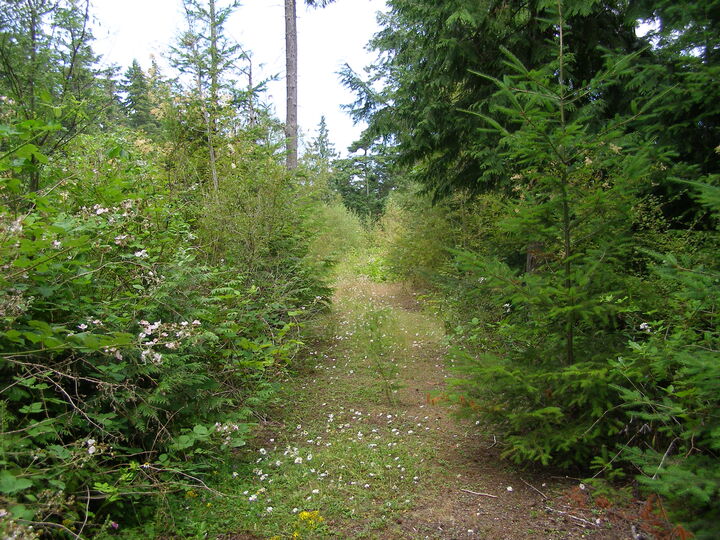 Property Photo: Exteriors 1 Cox Lane WA 98221