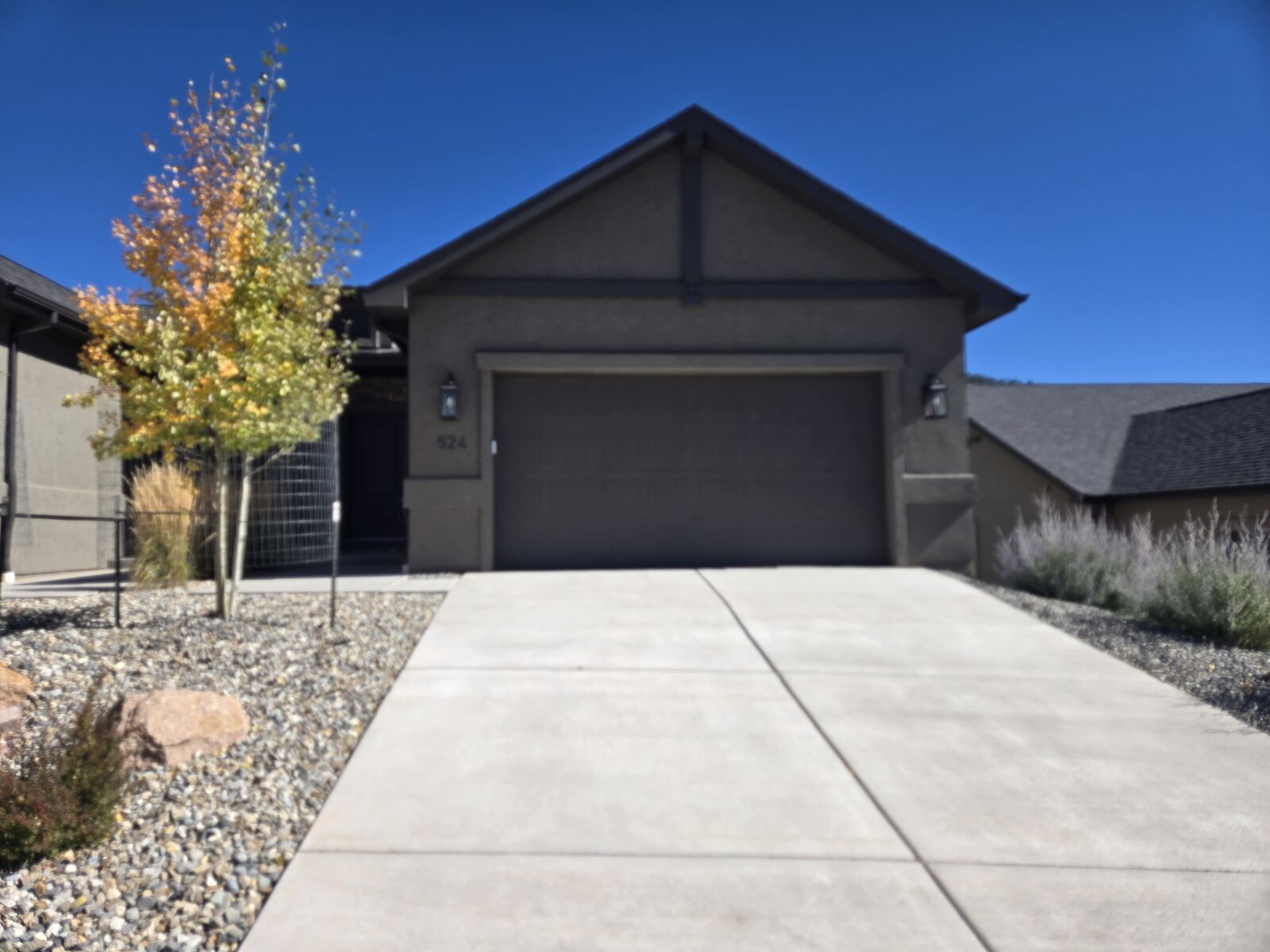 Property Photo:  524 Brecken Ct  CO 80863