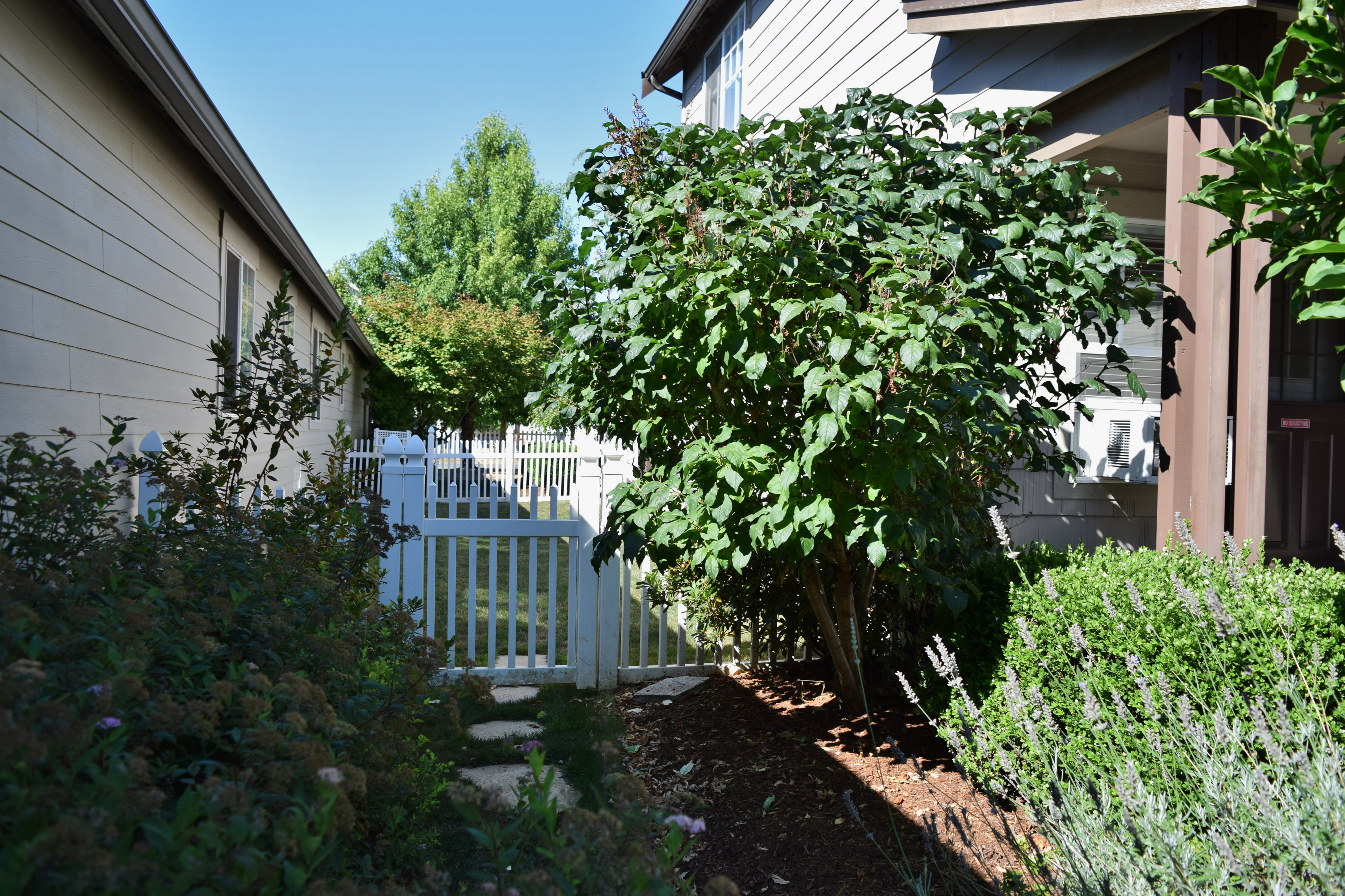 Property Photo: Exterior Views 1135 Elm St WA 98264