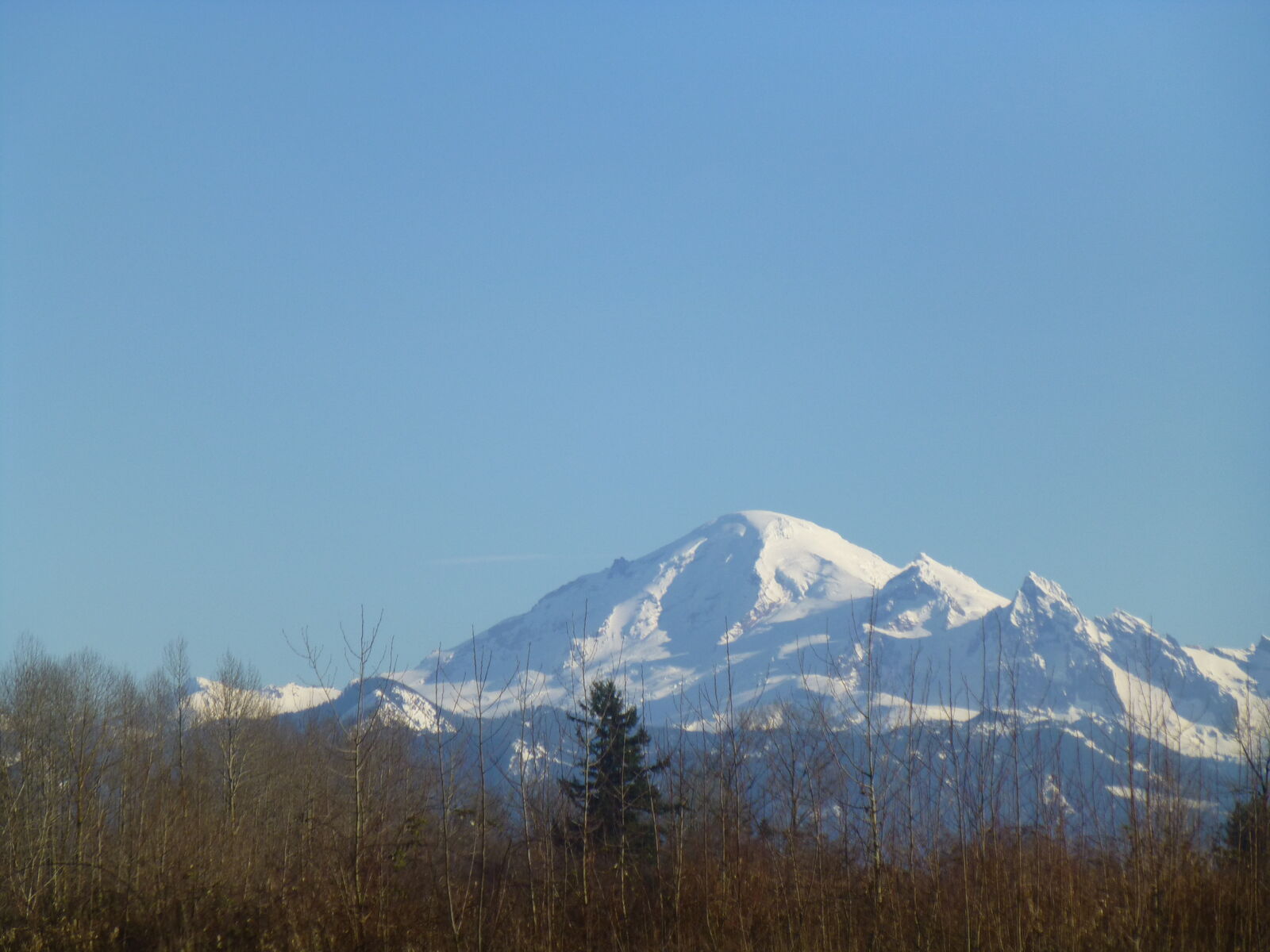 Property Photo: 5800 Murray WA 98226