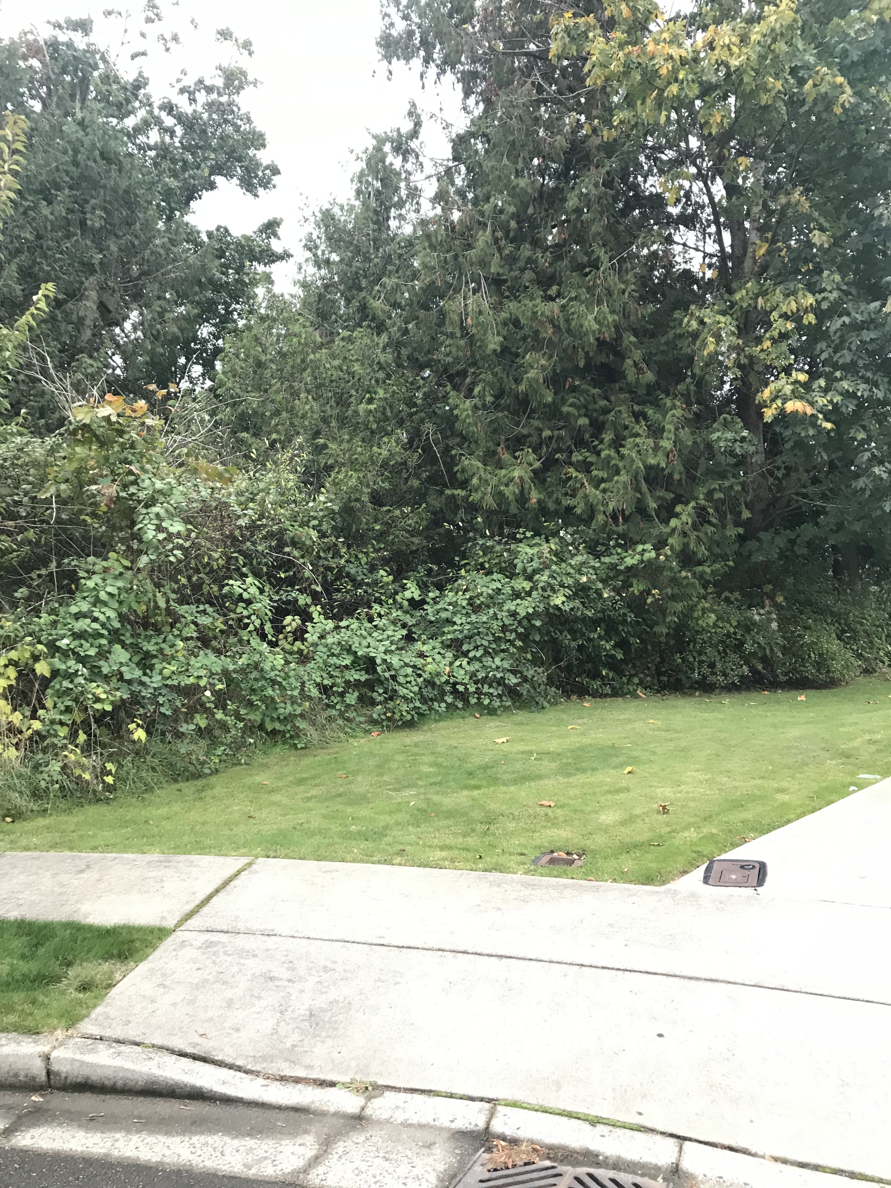Property Photo: 1311 Eastwood Wy WA 98264