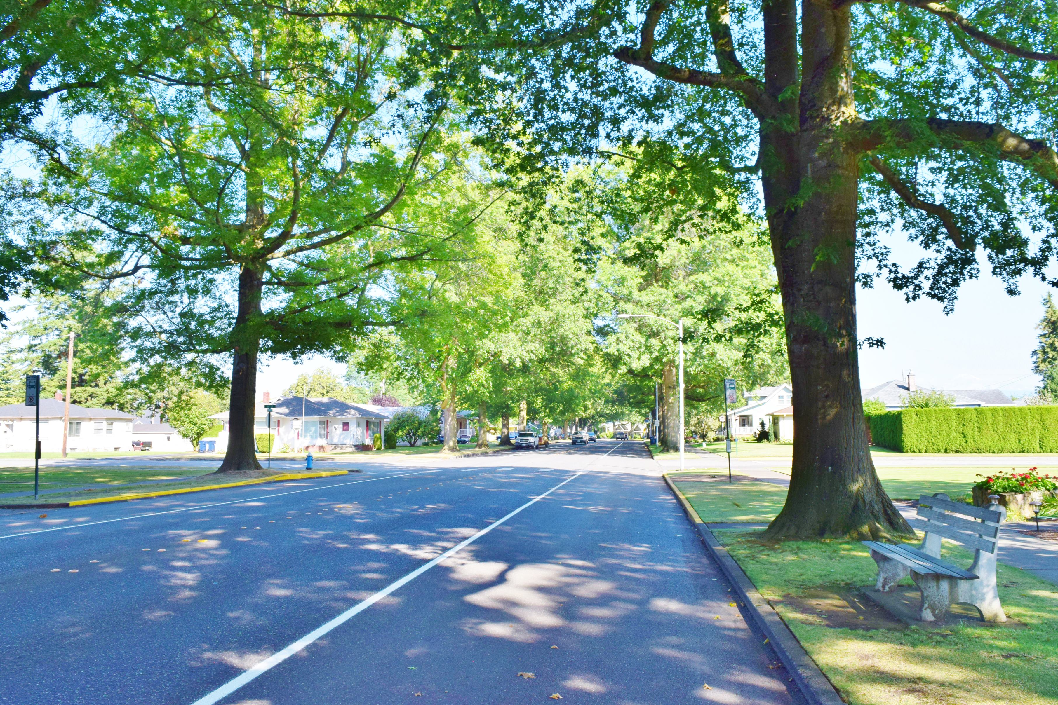 Property Photo: Neighborhood 1511 Front Street WA 98264