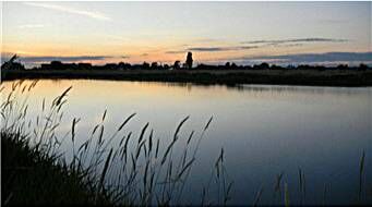 Property Photo: 4124 Patos Dr WA 98248